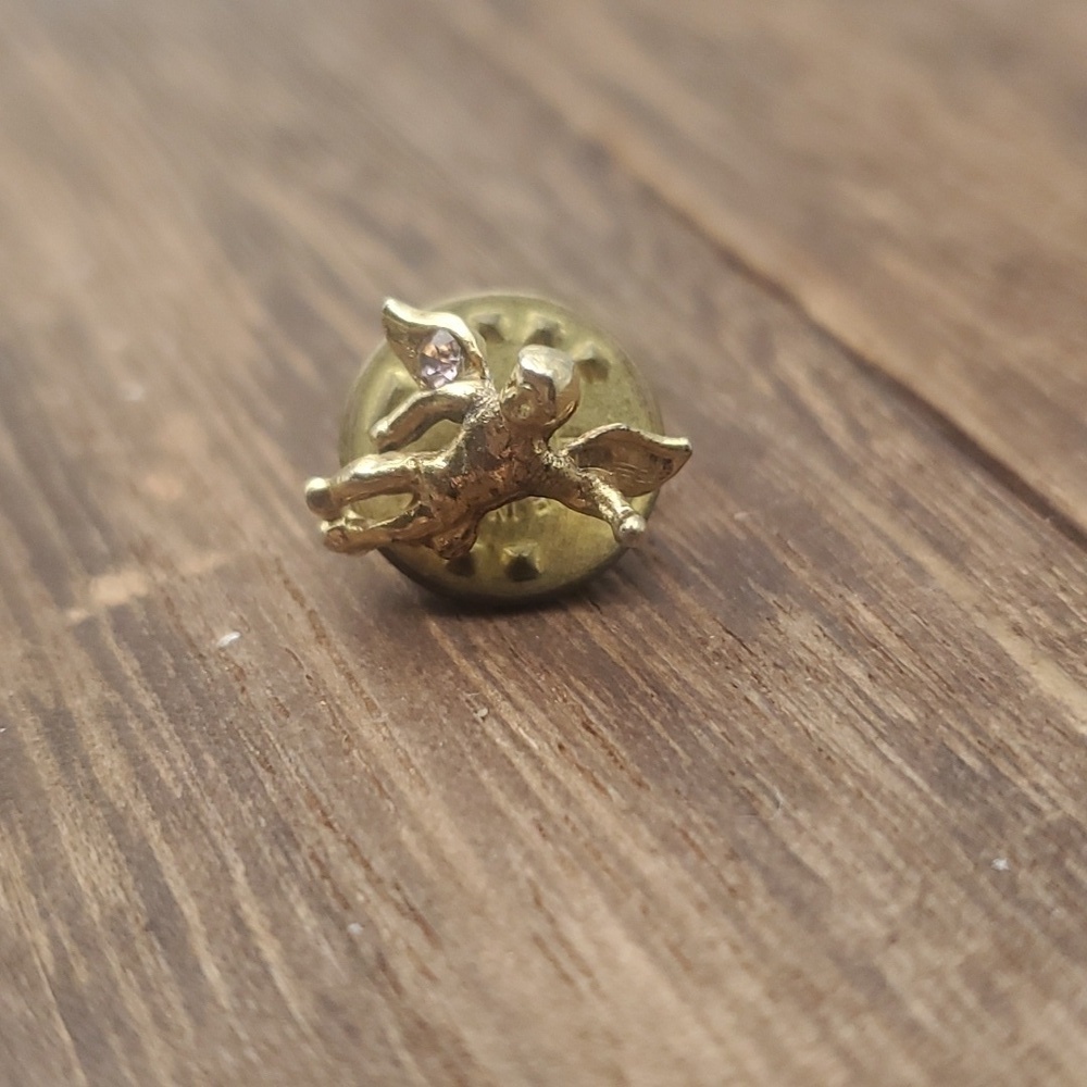 B662 guardian angel cherub pin‎